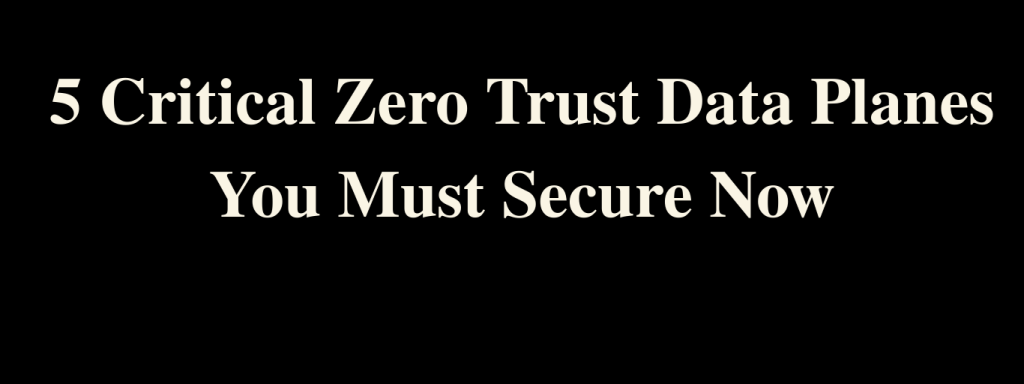 5 Critical Zero Trust Data Planes You Must Secure Now